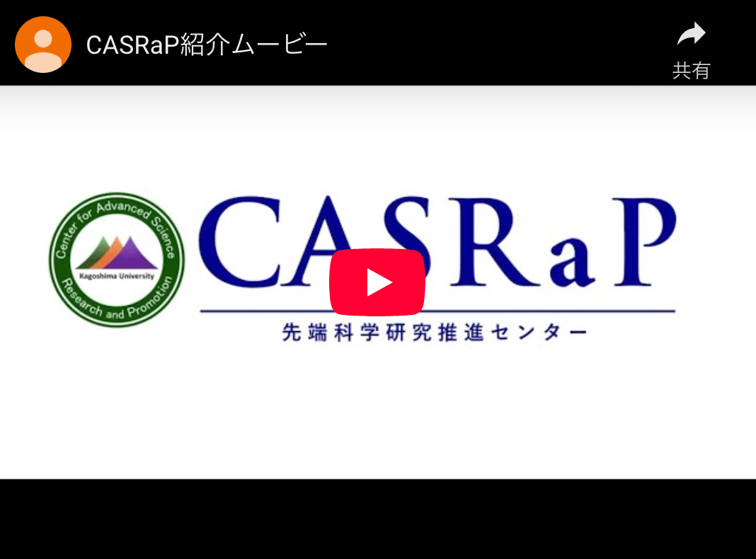 紹介ムービーを見る